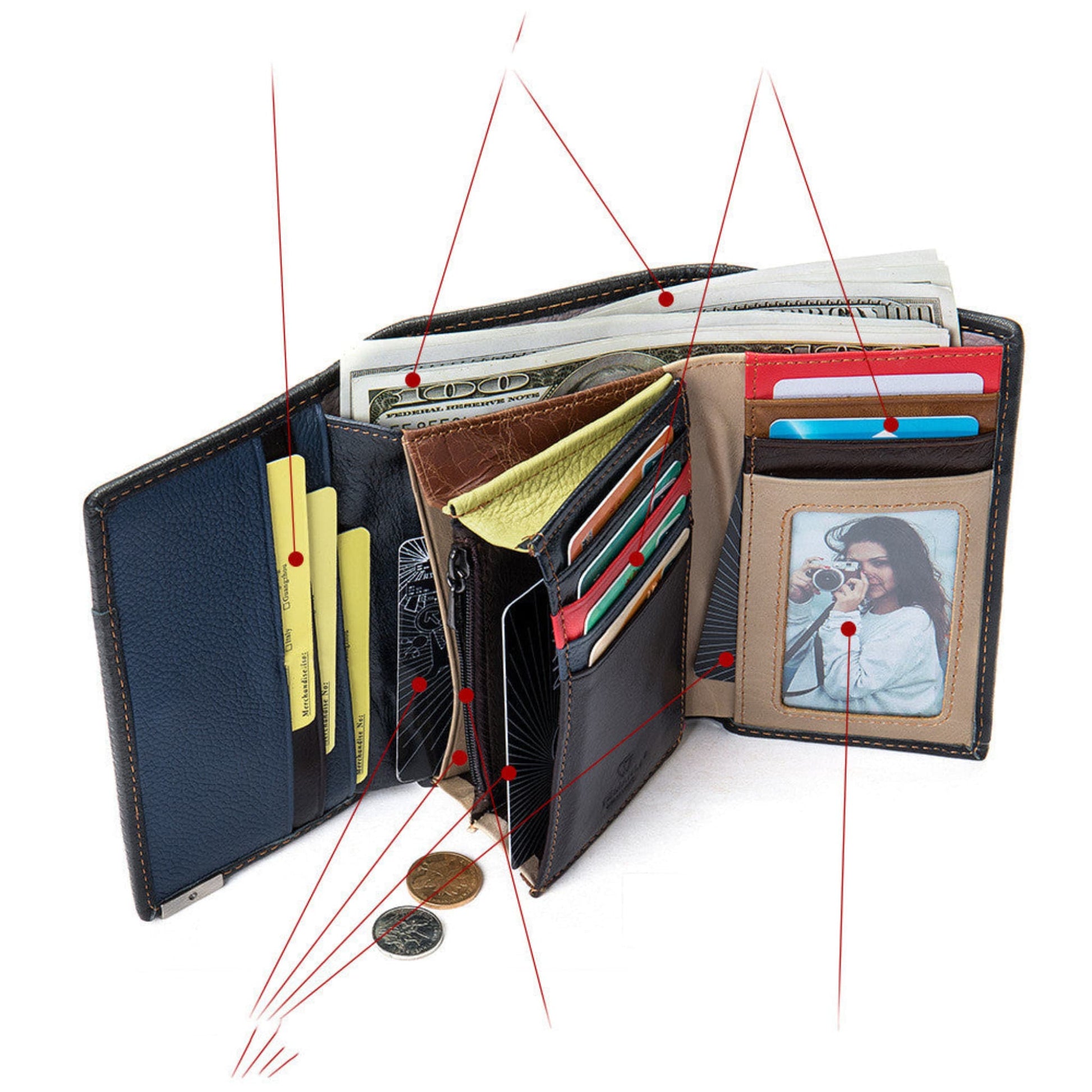 Women's patchwork large capacity cowhide long leather wallet — interior view showing card slots, photo holder and money compartment, horizontal | Avenue